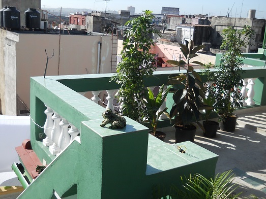 'Roof terrace' Casas particulares are an alternative to hotels in Cuba.